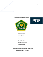 Pembunuhan Seperti Sengaja PDF