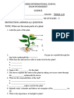 2019 Grade Three Worksheet