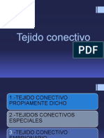 Tejido Conectivo