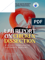 Group 1 - Chicken Dissection PDF