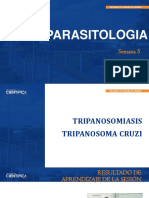 Semana 5 - Trypanosoma Cruzi PDF