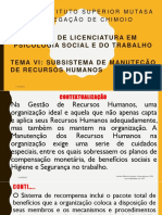 Subsistema de Manutenção Dos Recursos Humanos