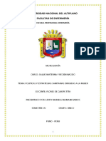 Salud Materna Monografia PDF