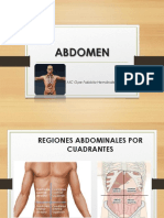 Abdomen, Retroperitoneo, Genital Masculino y Femenino