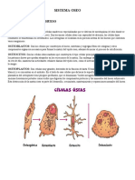 SISTEMA OSEO, Técnico en Radiología