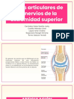 Lesiones Del Plexo Braquial