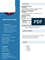 Blue Light Blue Color Blocks Flight Attendant CV