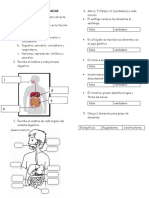 Evaluación de Ciencias