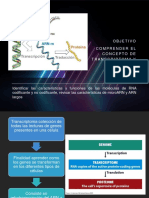 ARN Codificante y NO Codificante