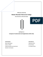 Computer Fundamentals Lab Report PDF