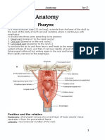 Anatomy of The Pharynx