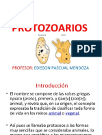 PROTOZOARIOS 