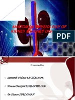 Kidney