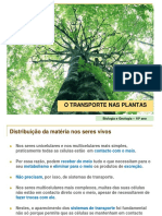 1 - Transporte Nas Plantas