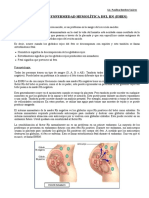 6 Clase - Tema Enfermedad Hemolitica en El RN