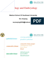 Histology 3 Connective Tissue