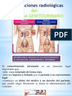 UD2 Estudio Sistema Genitourinario 2022 23