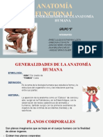 Anatomía Funcional Grupo 5-1