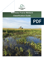 Manitoba Wetland Plants