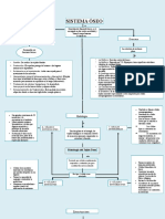 Mapa Conceptual Del Sistema Oseo