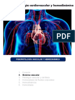 Anatomía Sistema Vascular