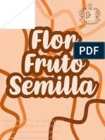 Flor Fruto Semilla