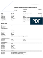 Credit Bureau Report Sample