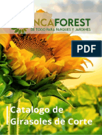 Catalogo Girasoles de Corte