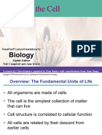 Introduction To Cell Biology