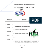 Informe de Practicas II - KARINA VARGAS SORIA.