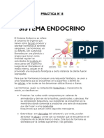 Sistema Endocrino