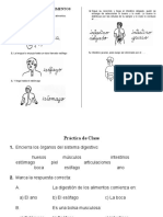 Ficha - El Camino de Los Alimentos