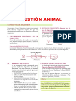 Digestión Animal