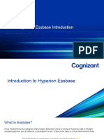 Hyperion Essbase