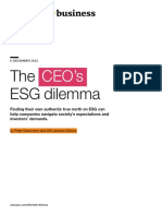 SBPWC 2022-12-06 CEO ESG Dilemma FINAL