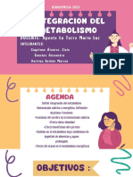 Integración Del Metabolismo