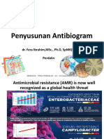 Antibiogram Perdalin FeraIbrahim