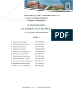 LA EVOLUCIÓN HUMANA - Cuadro Comparativo