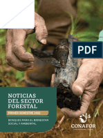 Noticias Del Sector Forestal 2022