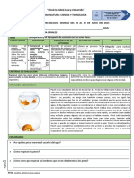 (PDF) 2° SEC. EDA 2 SEMANA 2 EXPLICA CYT 2023 La Respiración El Transporte de Sustancia en Los Seres Vivos