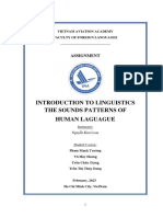 the sounds patterns of human language - Tiểu luận nhóm