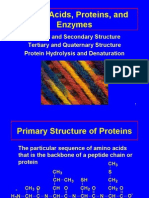 Protein Structure