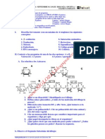 Biologia Selectividad Examen 11 Resuelto Castilla La Mancha WWW - Siglo21x.blogspot