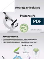 Protozoare Vi