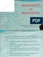 Nucleotide D