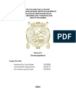 Práctica - Termoquímica - Grupo IVA305