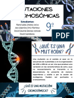 Mutaciones Cromosómicas