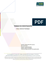 Trabajo de Investigación Gabinete Podologico