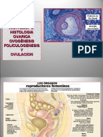 Anatomía Ovárica, Ovogénesis y Foliculogenesis 2022