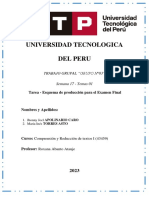 Semana 17 Tema 01 Tarea Esquema de Producción para El Examen Final